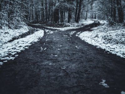 Two roads diverged in the woods.